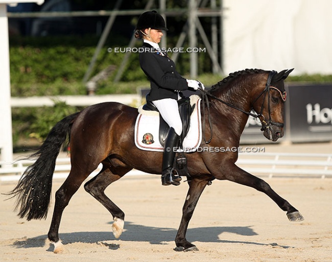 Lavinia Arl and Epiascer at the 2013 European Pony Championships in Arezzo :: Photo © Astrid Appels
