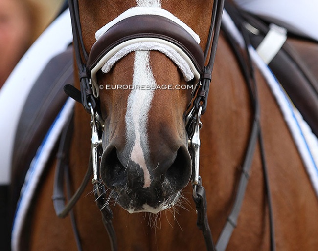 Photo as illustration :: Photo © Astrid Appels