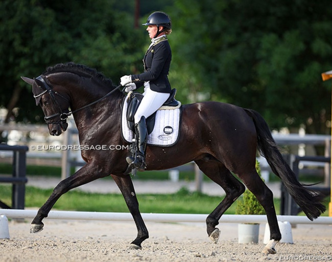 Kristy Kolijn on the 5-year old Lord Diamond at the 2022 CDI Jardy :: Photo © Astrid Appels