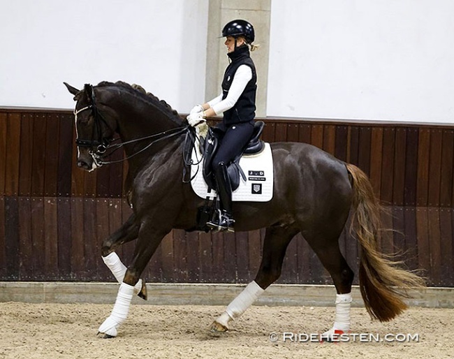 Janni Dietz on Grand Quest-Bell in a clinic at Slangerupgaard  :: Photo © Ridehesten