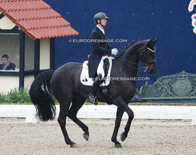 Kenneth Damgaard and UNO Day Sun at the 2025 CDI Hagen :: Photo © Astrid Appels