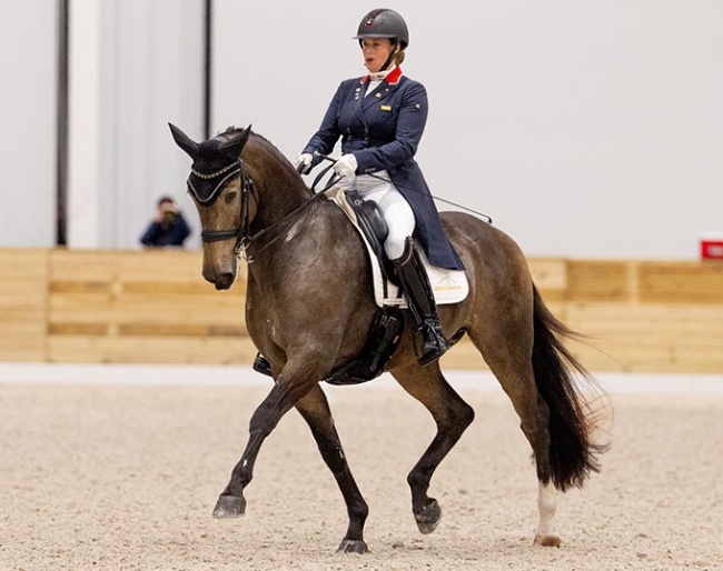 Canadian team rider Denielle Gallagher on the Lusitano bred Come Back de Massa :: Photo © Lily Forado