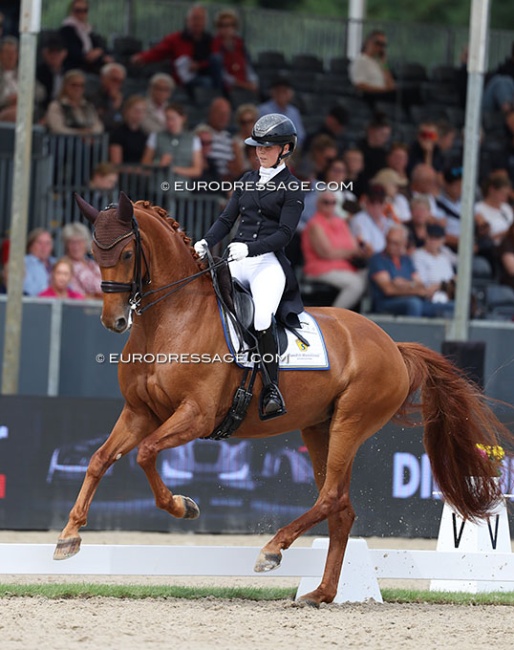 Lovisa Wessblad and Ulrika Bynander's SWB mare Simmebros de Luze at the 2025 World Young Horse Championships in Verden :: Photo © Astrid Appels