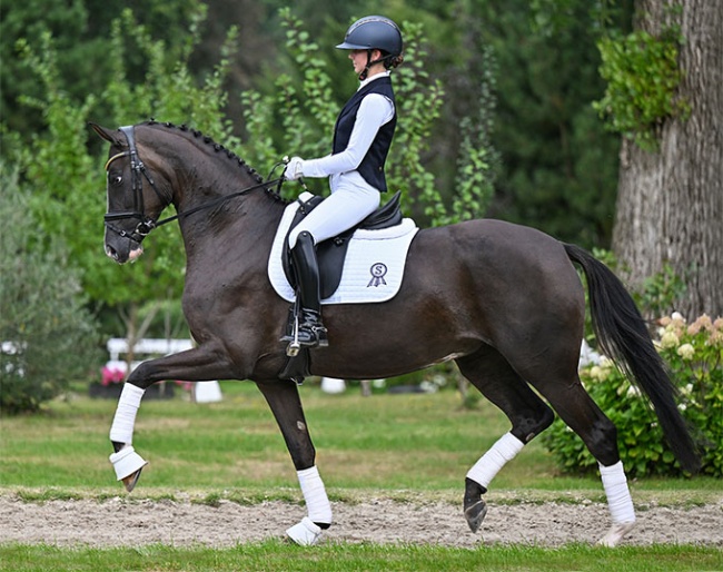 Bontasia PS (by Bonjour x Top Gear x Fürst Romancier) 