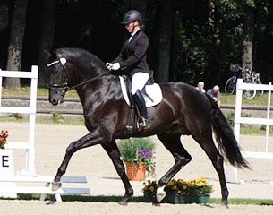 Rhinelander Riding Horses Selected for 2011 Bundeschampionate